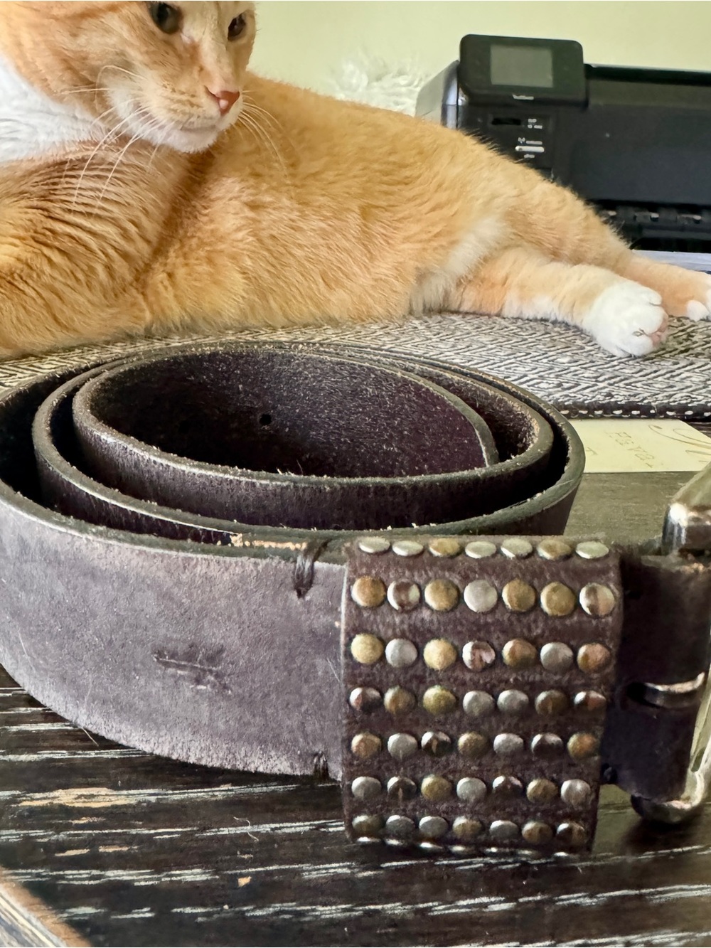 Frye Black Stud Accent Leather Belt